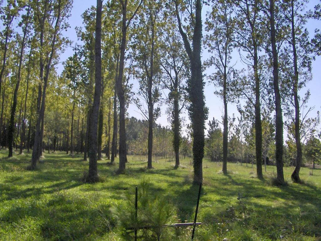 Loriol-du-Comtat Residence Les Peupliers מראה חיצוני תמונה