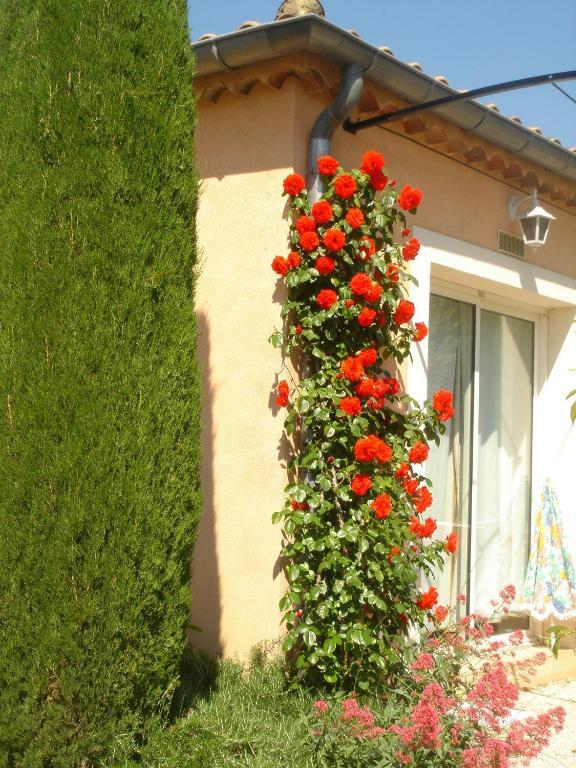 Loriol-du-Comtat Residence Les Peupliers מראה חיצוני תמונה
